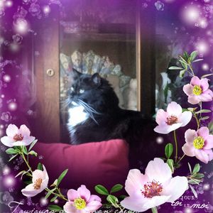 Meet your Posher, Barbara